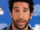 David Schwimmer Bio, Net Worth, Wife, Now, Daughter, Brother, Today, Marriage