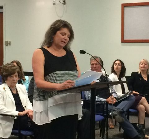 Laurie Rich Levinson in a black dress expresses her agenda in front of other members.